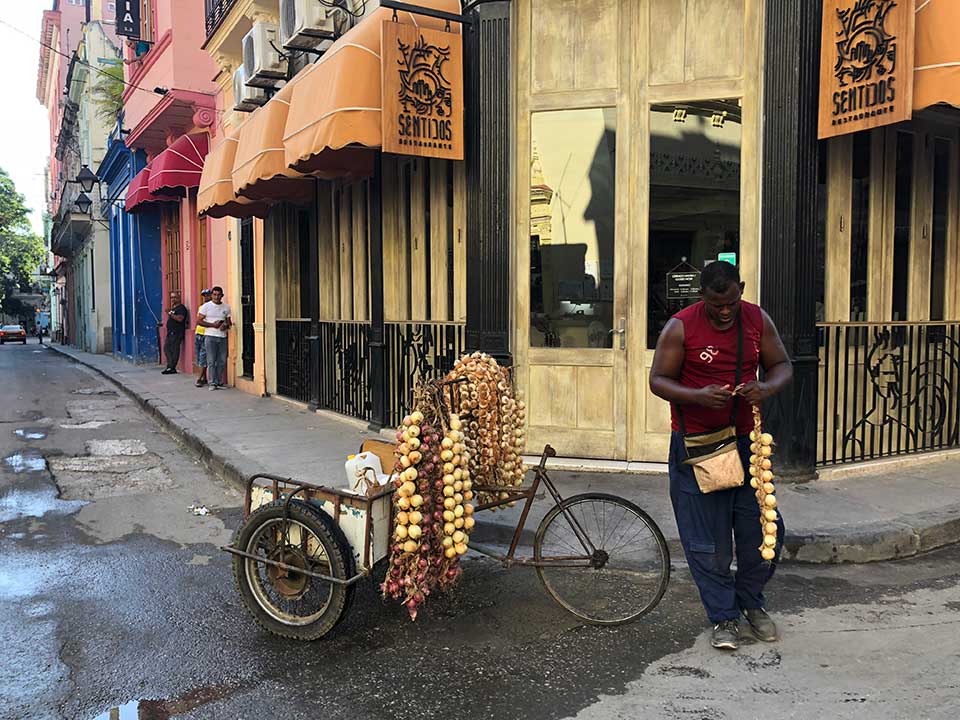 garlic vendor, Havana, Cuba