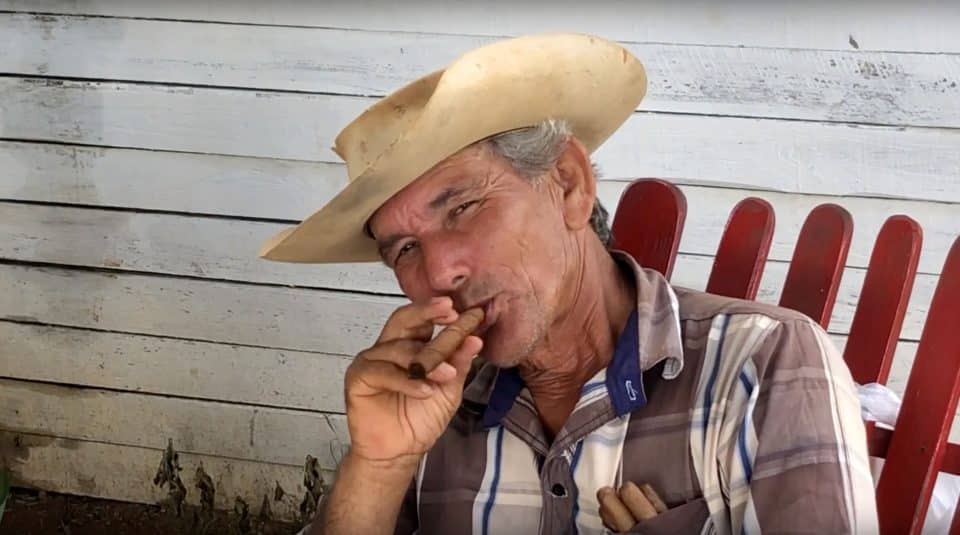 Cuban cigars in Viñales