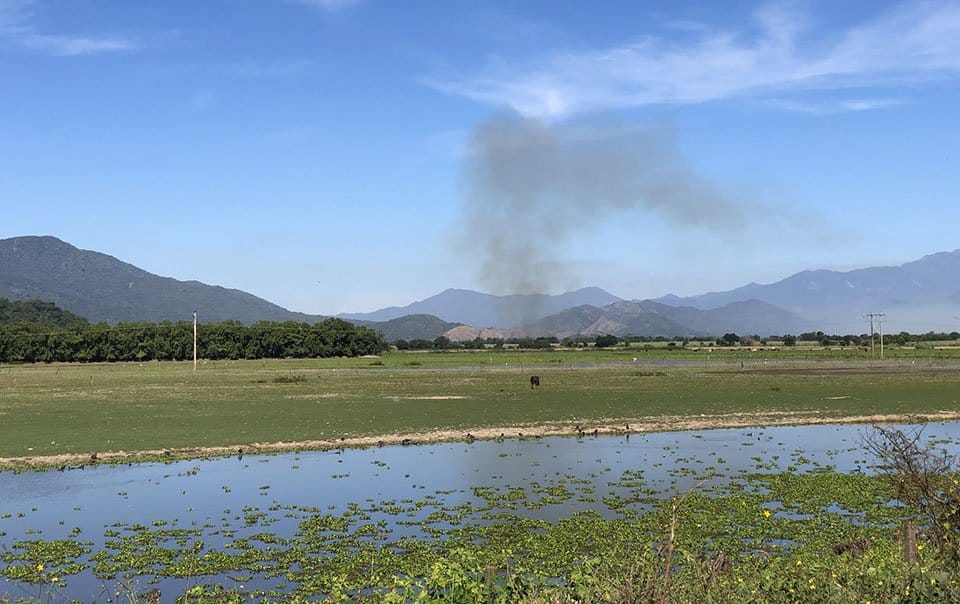 burning cane fields in Villa Purificación