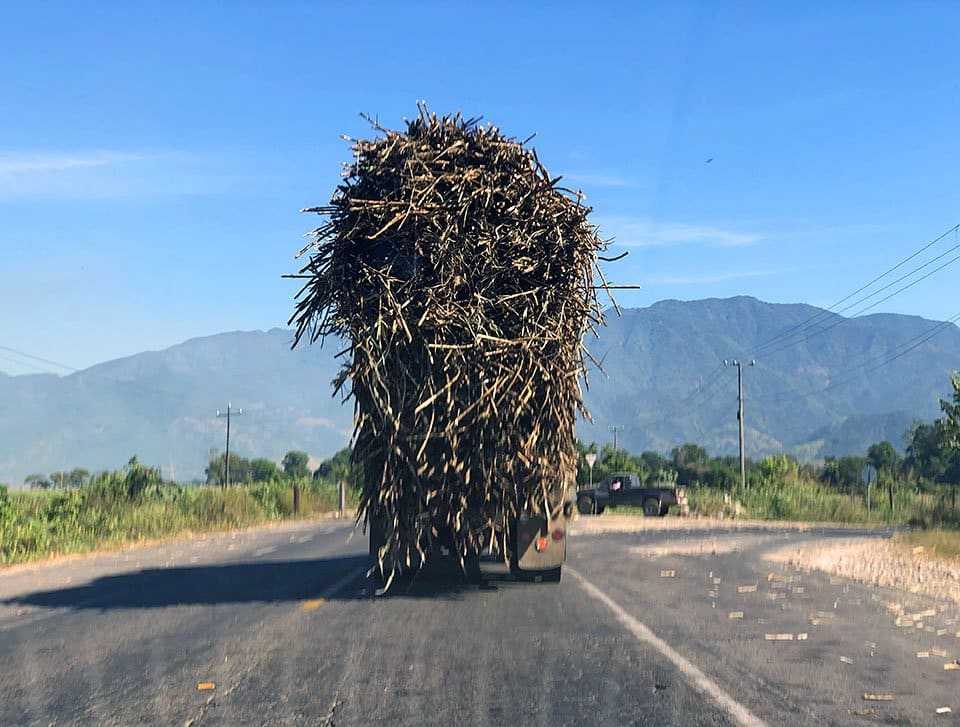 sugarcane-truck-villa-purificacion
