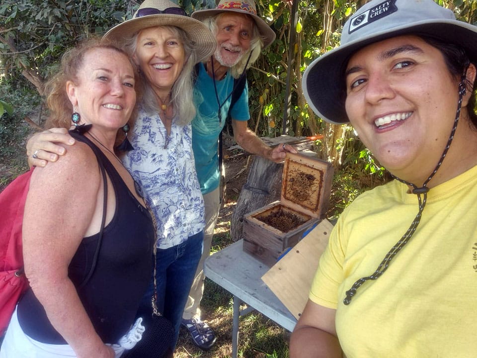 four people looking at a bee hive